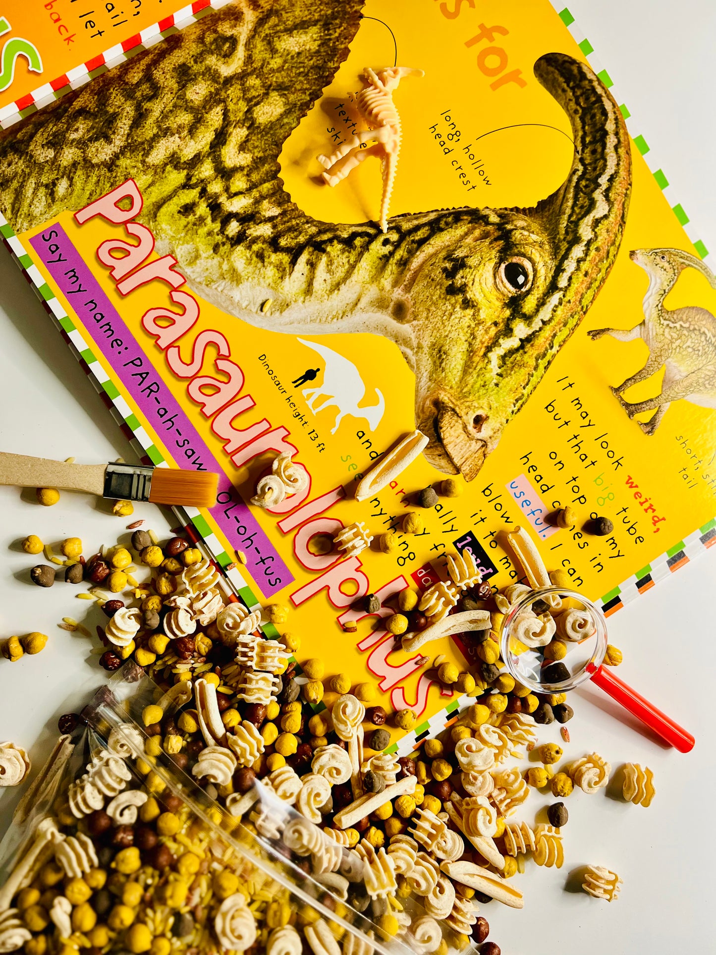 Dino Dig Kit