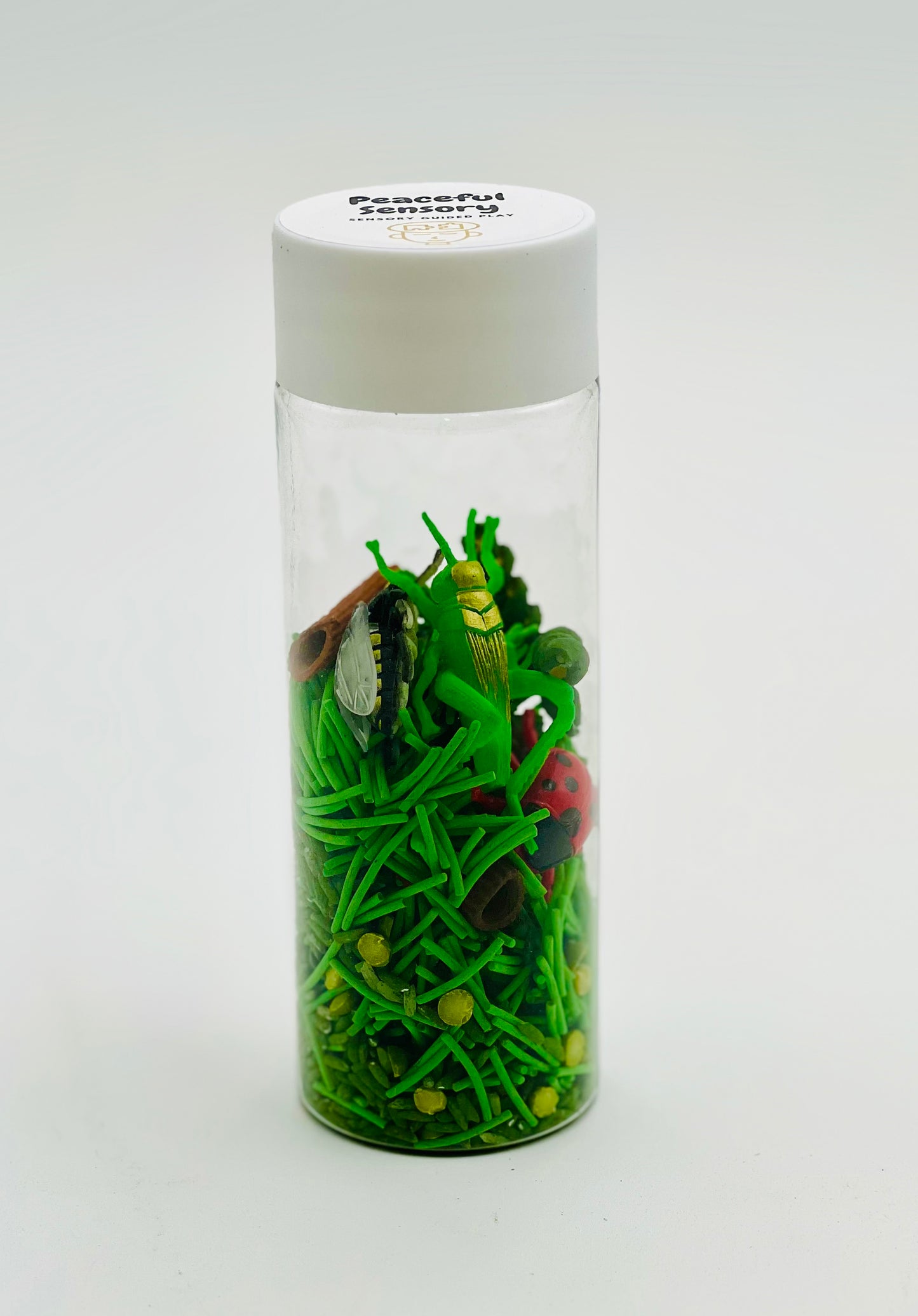 Bugs Sensory Kit