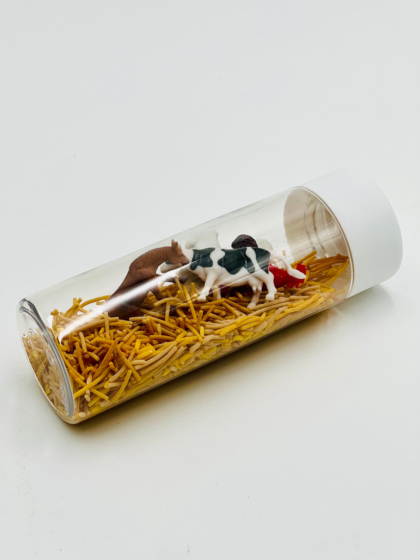 Farm Sensory Shaker