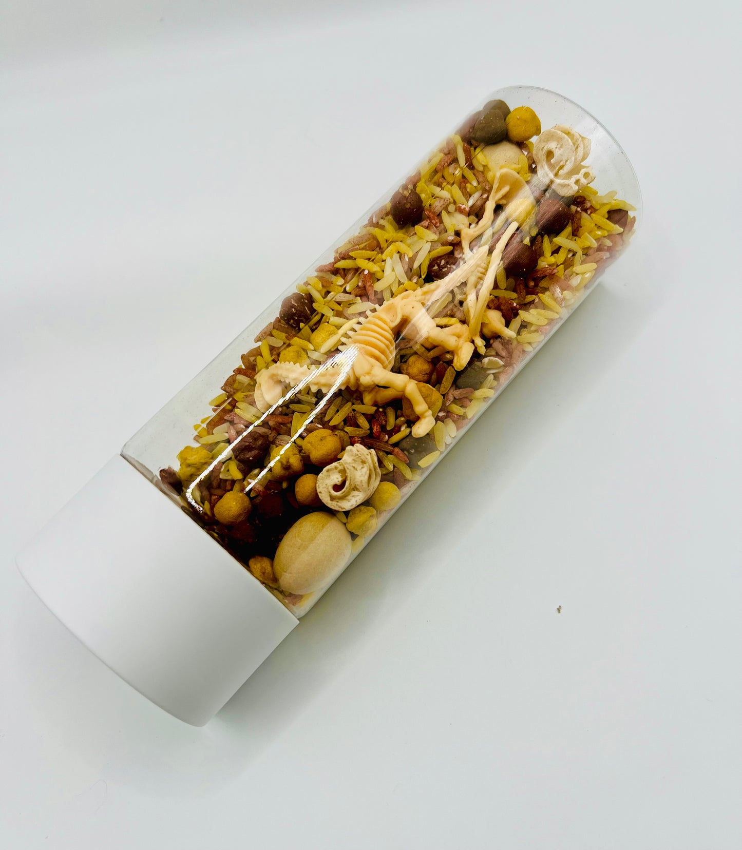 Dino Dig Sensory Shaker