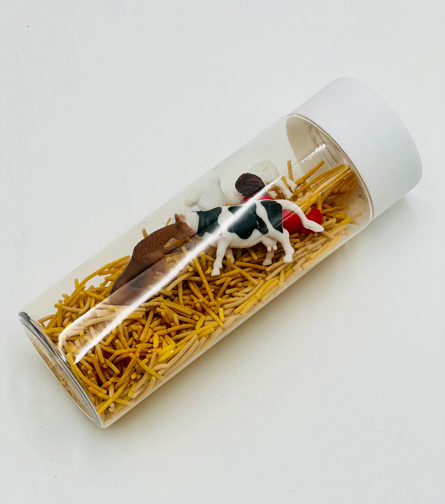 Farm Sensory Learning Kit