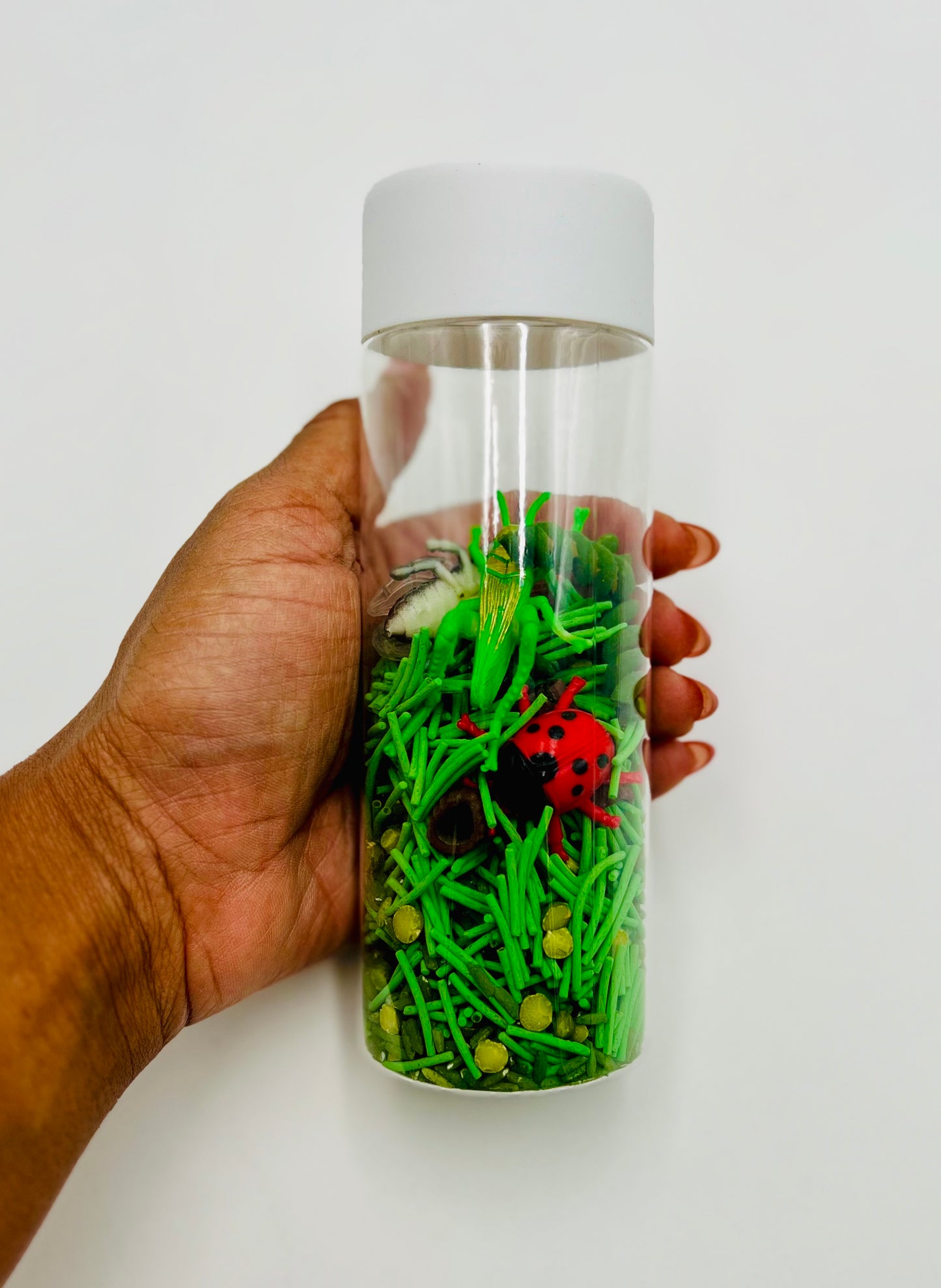 Bugs Sensory Kit