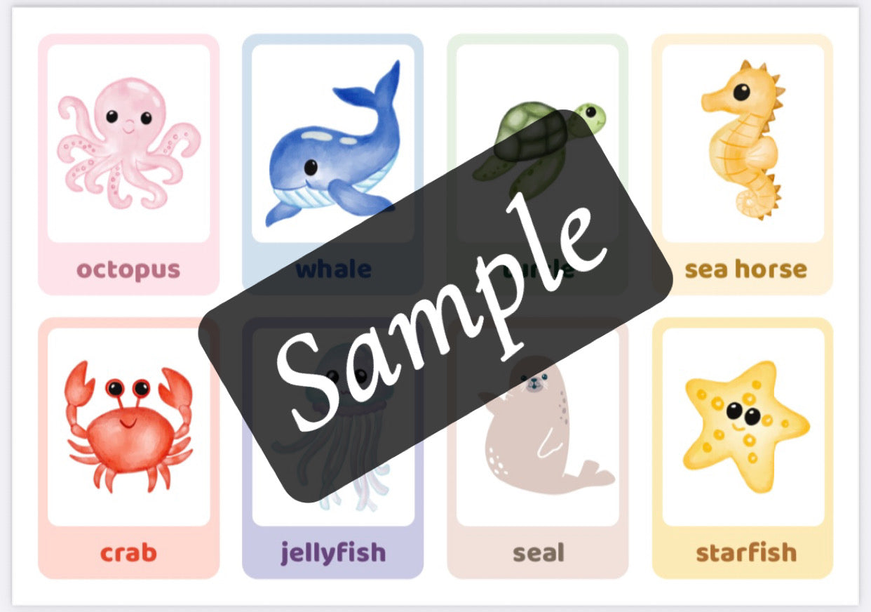 Ocean Sensory Kit
