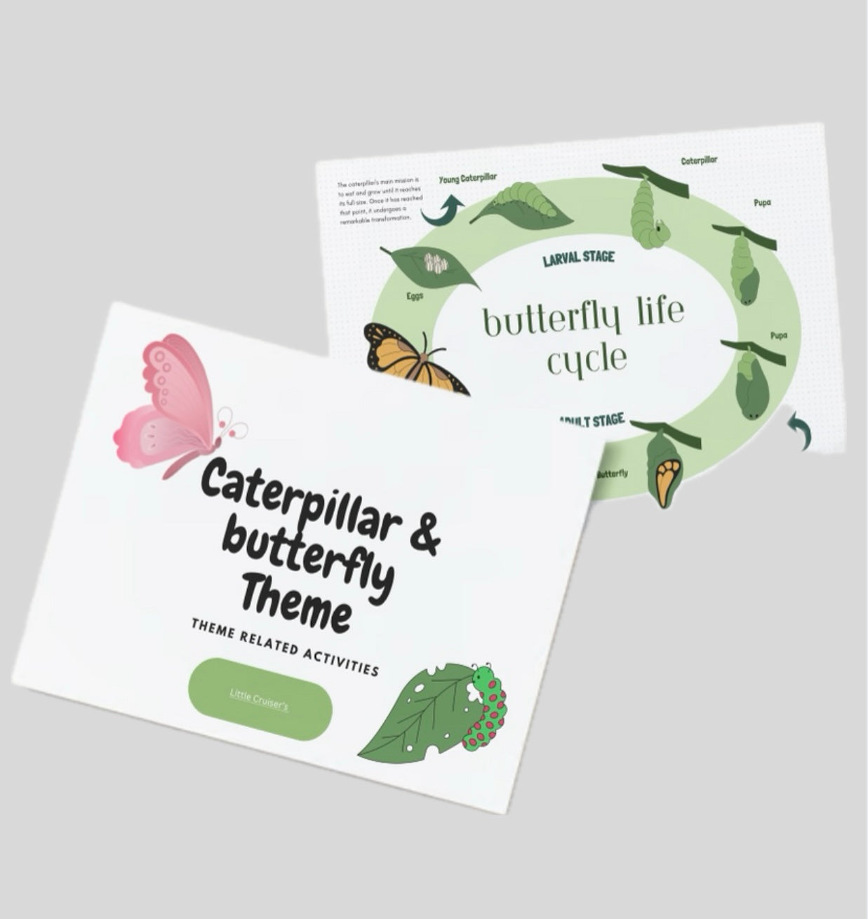 Caterpillar theme (editable activities)