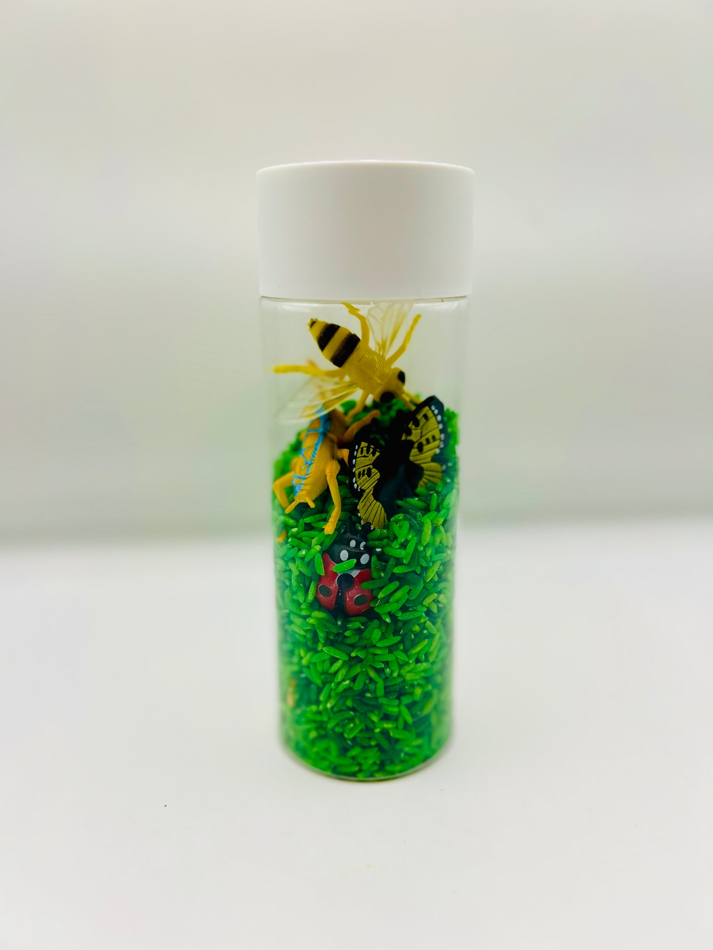 Bugs Sensory Shaker