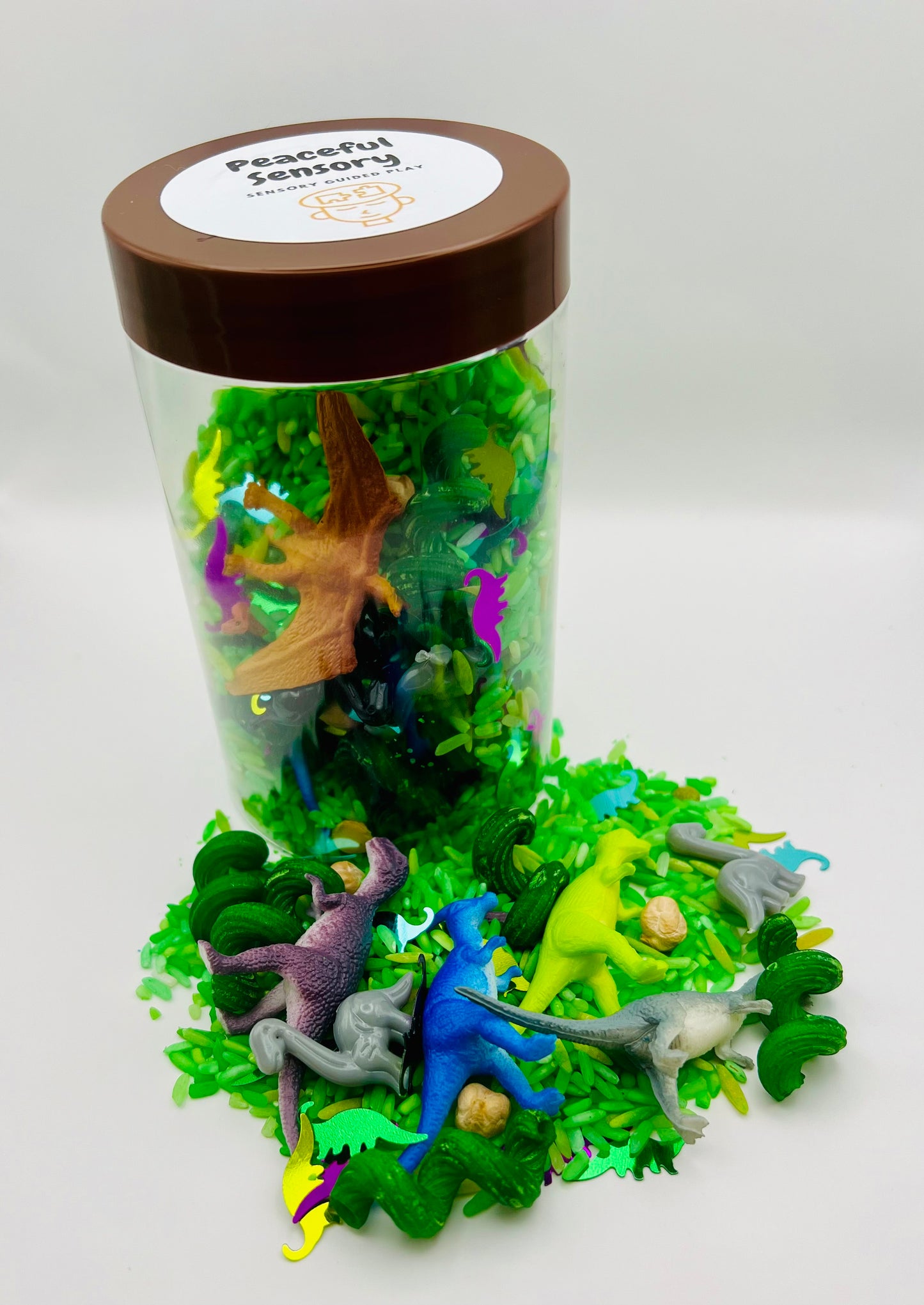 Dinosaurs Sensory Shaker