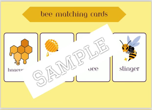 Bee theme (editable activities)