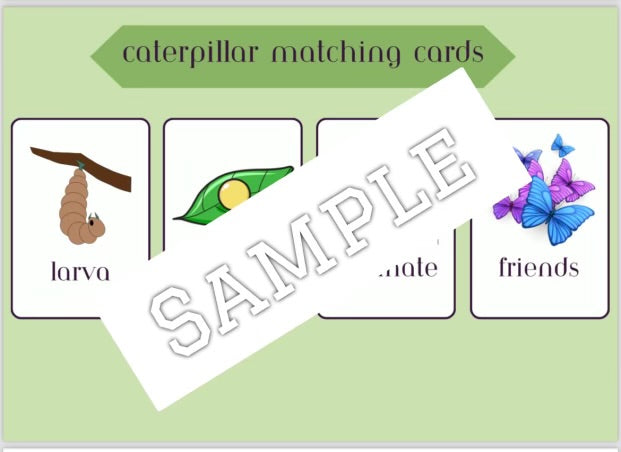 Caterpillar theme (editable activities)