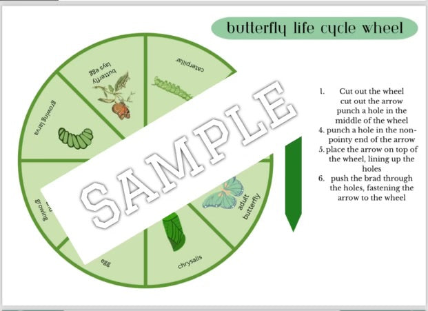 Caterpillar theme (editable activities)